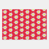 Hübsche Papierfolien Geschenkpapier Set (Vorderseite)