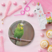 Hübsche Papiertafel für das grüne Foto Pappteller (Party)