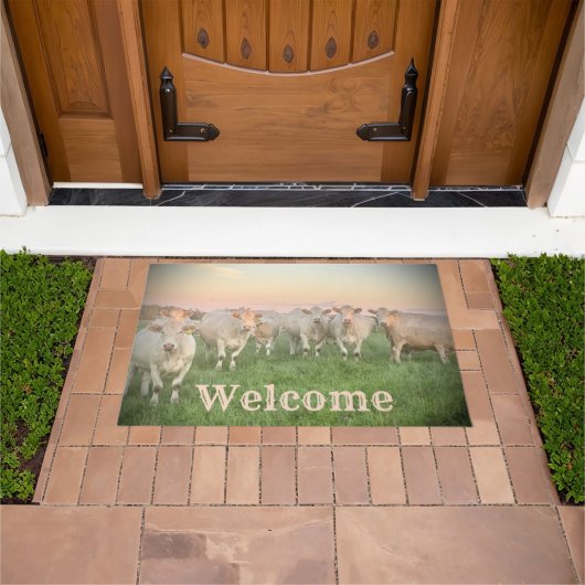 Hübsche Pastel Charolais Rinder auf Weiden Fußmatte (Außenbereich)