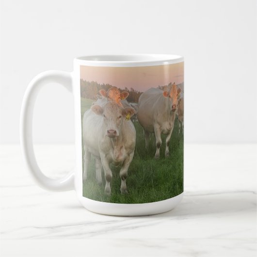 Hübsche Pastel Charolais Rinder auf Weiden Kaffeetasse (Links)