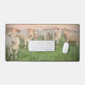 Hübsche Pastel Charolais Rinder auf Weiden Schreibtischunterlage (Tastatur & Maus)