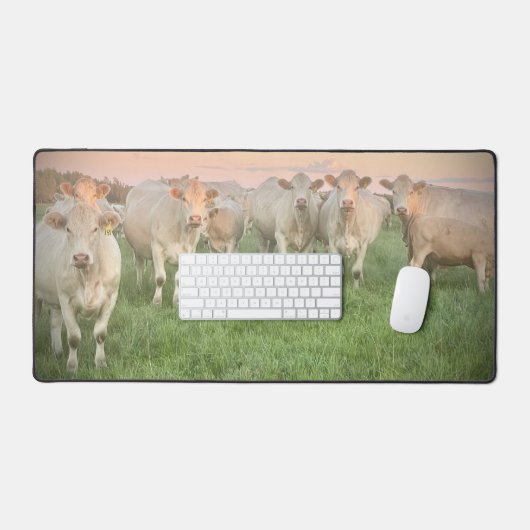 Hübsche Pastel Charolais Rinder auf Weiden Schreibtischunterlage (Tastatur & Maus)