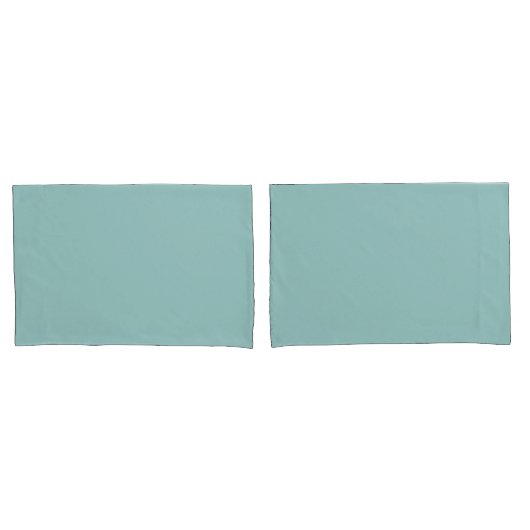 Hübsche Pastel Eggshell Blue Solid Print Kissenbezug (Vorderseite-Set)