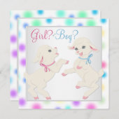 Hübsche Pastelllamm-Geschlechtsoffenlegung Einladung (Vorne/Hinten)