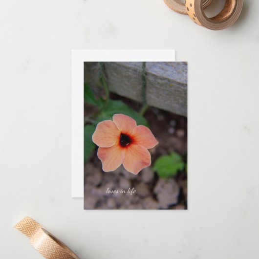 Hübsche Peach Garden Blume Mitteilungskarte (Vorderseite/Rückseite Beispiel)