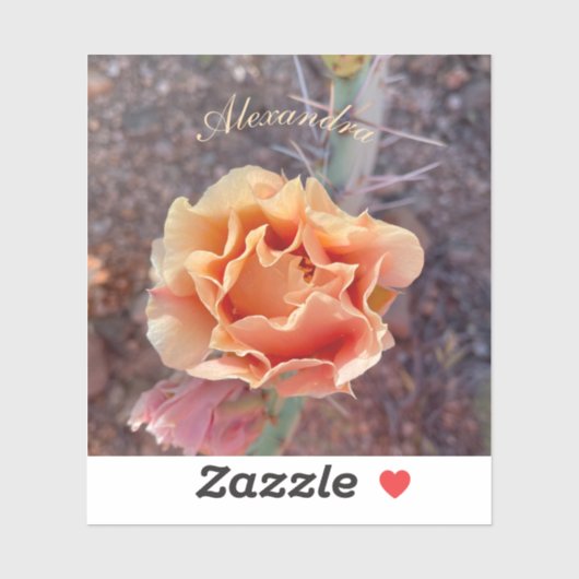 Hübsche Peach Prickly Birne Blume Aufkleber (Blatt)