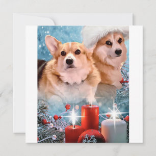 Hübsche Pembroke Welsh Corgis  Weihnachtskarte Feiertagskarte