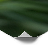 Hübsche Periwinkle Iris-Blume Poster (Ecke)