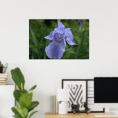 Hübsche Periwinkle Iris-Blume Poster (Heimbüro)