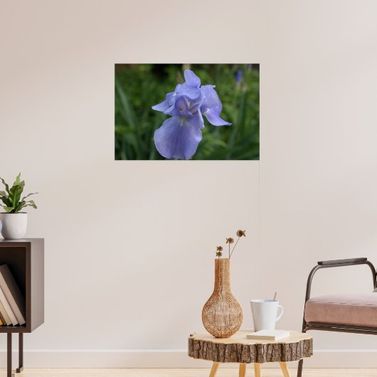 Hübsche Periwinkle Iris-Blume Poster (Wohnzimmer 3)