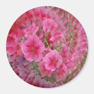 Hübsche Petunias......... Magnet