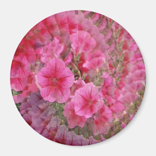 Hübsche Petunias......... Magnet (Vorne)