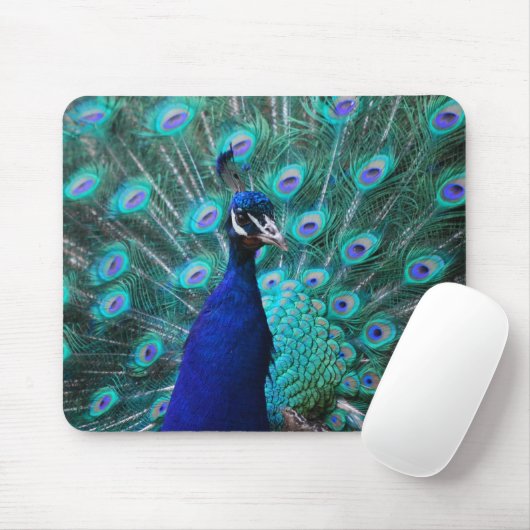 Hübsche Pfau-Mausunterlage Mousepad (Mit Mouse)