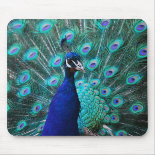 Hübsche Pfau-Mausunterlage Mousepad
