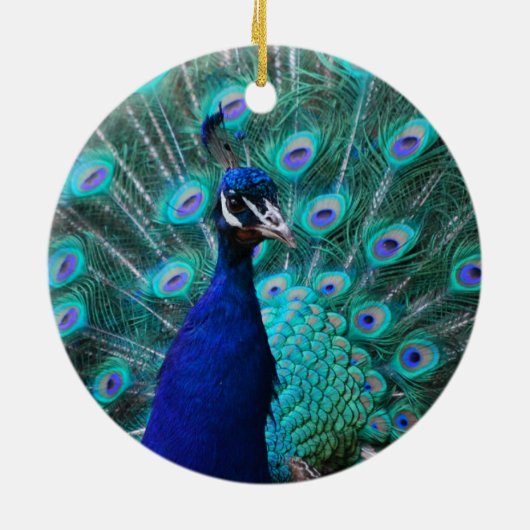 Hübsche Pfau-Verzierung Keramikornament (Hinten)