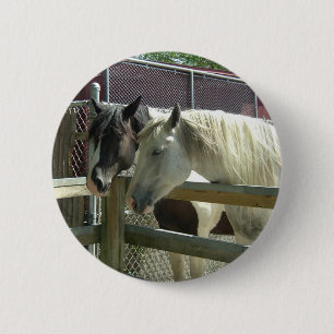 Hübsche Pferde Button