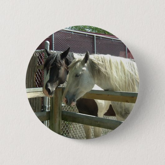 Hübsche Pferde Button (Vorderseite)