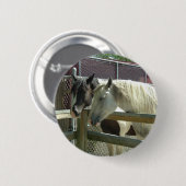 Hübsche Pferde Button (Vorne & Hinten)