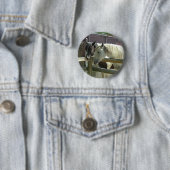 Hübsche Pferde Button (Beispiel)