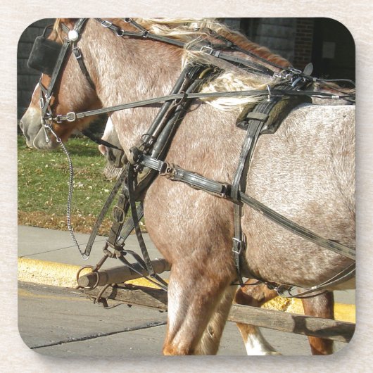 Hübsche Pferde Getränkeuntersetzer (Vorderseite)