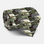 Hübsche Pferde Krawatte (Gerollt)