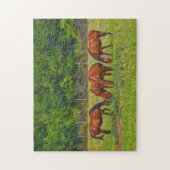 Hübsche Pferde Weiden im Puzzle der grünen Weide (Vertikal)