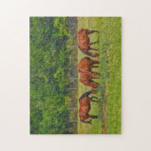 Hübsche Pferde Weiden in einer texanischen Weide F Puzzle (Vertikal)