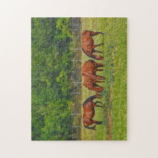 Hübsche Pferde Weiden in einer texanischen Weide F Puzzle (Vertikal)