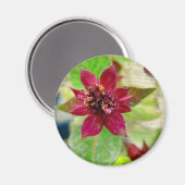 HÜBSCHE PFLANZE 2 MAGNET (Vorderseite/Rückseite)
