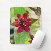 HÜBSCHE PFLANZE 2 MOUSEPAD (Mit Mouse)