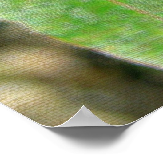 HÜBSCHE PFLANZE 2 POSTER (Ecke)