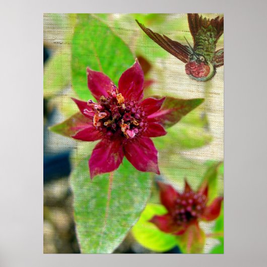 HÜBSCHE PFLANZE 2 POSTER (Vorne)