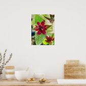 HÜBSCHE PFLANZE 2 POSTER (Küche)