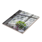 Hübsche Pflanze der Wasserfarbe im Fenster Fliese (Seite)