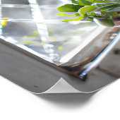 Hübsche Pflanze der Wasserfarbe im Fenster Poster (Ecke)