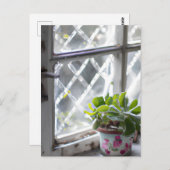 Hübsche Pflanze der Wasserfarbe im Fenster Postkarte (Vorne/Hinten)