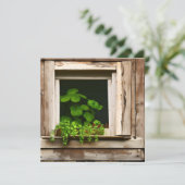 Hübsche Pflanze im rustikalen Fenster mit gewitter (Stehend Vorderseite)