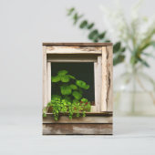 Hübsche Pflanze im rustikalen Fenster mit gewitter Postkarte (Stehend Vorderseite)