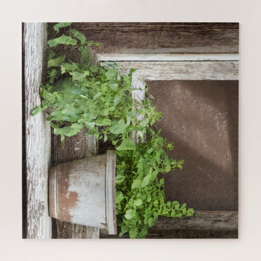 Hübsche Pflanze im rustikalen Fenster Puzzle (Horizontal)