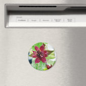 Hübsche Pflanze Magnet (In Situ (Geschirrspüler))