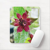 Hübsche Pflanze Mousepad (Mit Mouse)