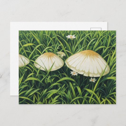 Hübsche Pilze Postkarte (Vorne/Hinten)