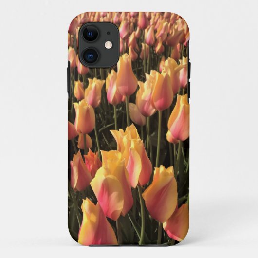 Hübsche Pink-gelbe Tulpen Case-Mate iPhone Hülle (Rückseite)