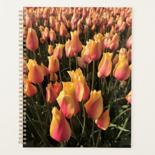 Hübsche Pink-gelbe Tulpen Planer