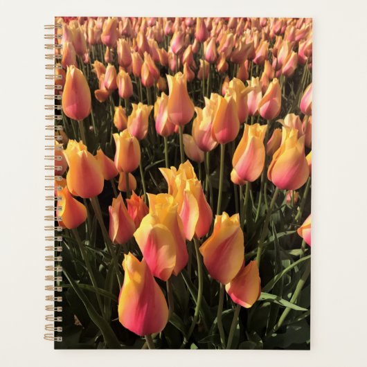 Hübsche Pink-gelbe Tulpen Planer (Vorderseite)