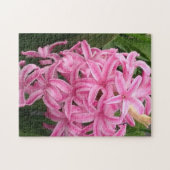 Hübsche Pink Hyacinth Blume Jigsaw Puzzles (Horizontal)