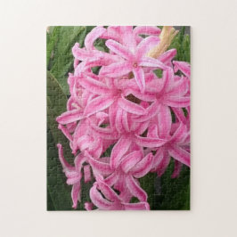 Hübsche Pink Hyacinth Blume Jigsaw Puzzles