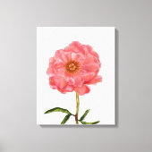 Hübsche Pink Peony Blume Art Leinwanddruck (Vorderseite)
