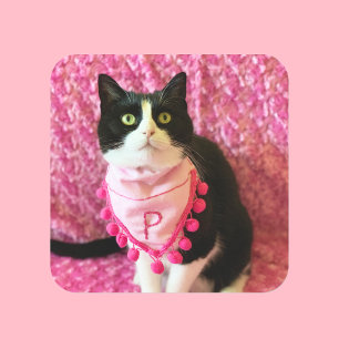 Hübsche Pink Pfirsiche Tuxedo Kat Sticker
