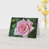 Hübsche Pink Rose Scripture Card Hebräisch 10:23 Karte (Gelbe Blume)